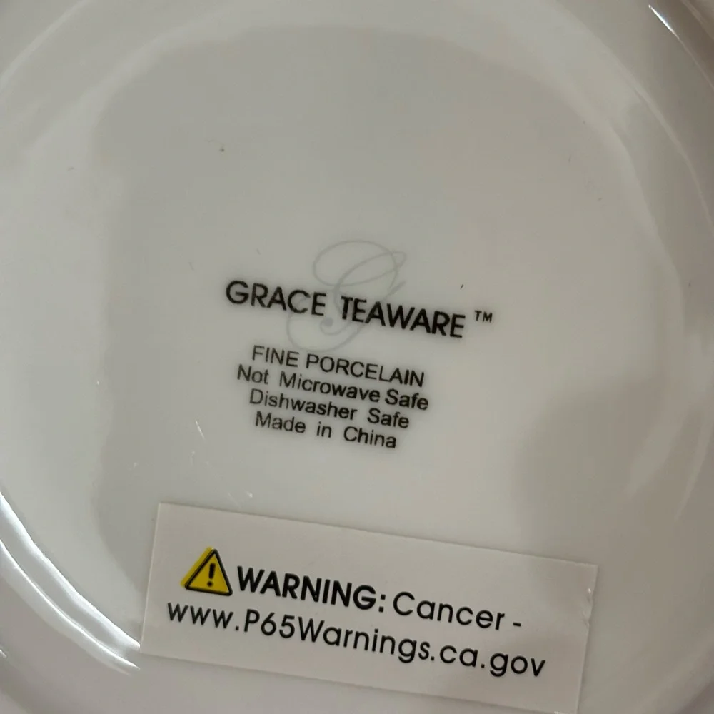 NWT Skull and Roses tea cup and saucer set